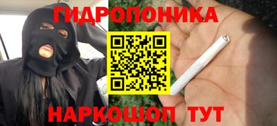 ПСИЛОЦИБИНОВЫЕ ГРИБЫ Кандалакша