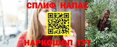 стафф Камышлов