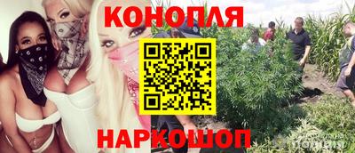 ПСИЛОЦИБИНОВЫЕ ГРИБЫ Кандалакша