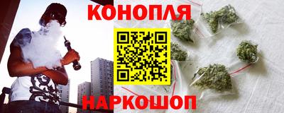 стафф Камышлов