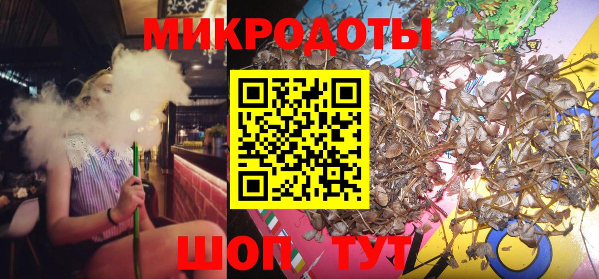 Псилоцибиновые грибы мицелий Ярцево
