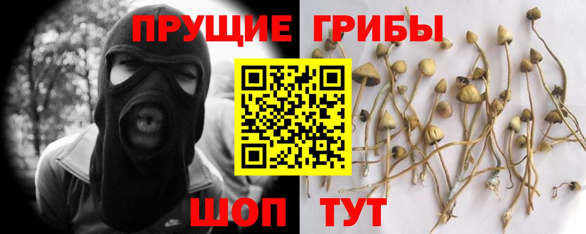 Псилоцибиновые грибы ЛСД  Псилоцибиновые грибы Cubensis  наркота  Вход с VPN  Ярцево 